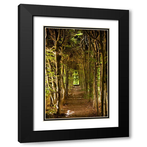 Secret Garden III Black Modern Wood Framed Art Print with Double Matting by Millet, Karyn