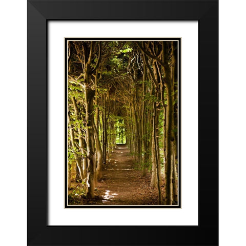 Secret Garden III Black Modern Wood Framed Art Print with Double Matting by Millet, Karyn