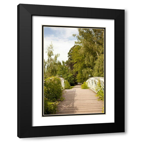 Secret Garden IV Black Modern Wood Framed Art Print with Double Matting by Millet, Karyn