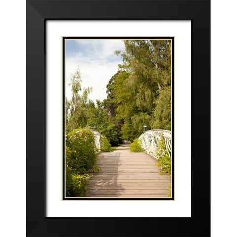Secret Garden IV Black Modern Wood Framed Art Print with Double Matting by Millet, Karyn