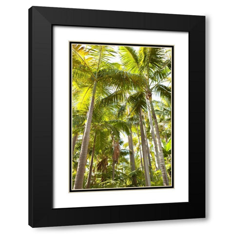 Tropical Oasis I Black Modern Wood Framed Art Print with Double Matting by Millet, Karyn