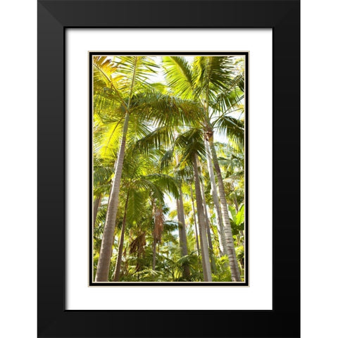 Tropical Oasis I Black Modern Wood Framed Art Print with Double Matting by Millet, Karyn