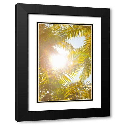 Tropical Oasis II Black Modern Wood Framed Art Print with Double Matting by Millet, Karyn
