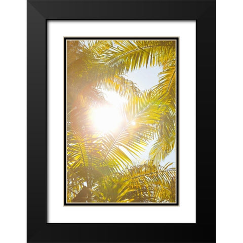 Tropical Oasis II Black Modern Wood Framed Art Print with Double Matting by Millet, Karyn