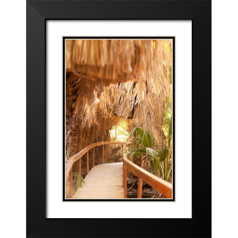 Palm Pathway I Black Modern Wood Framed Art Print with Double Matting by Millet, Karyn