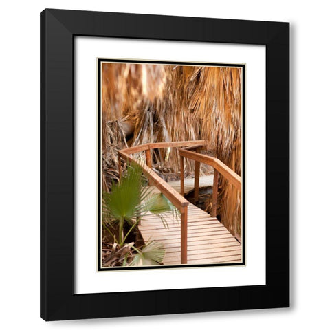 Palm Pathway II Black Modern Wood Framed Art Print with Double Matting by Millet, Karyn