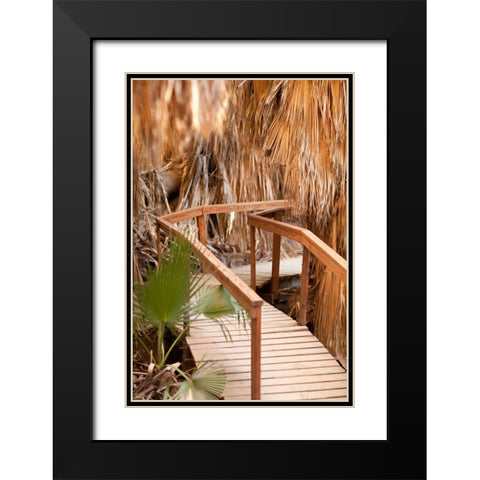 Palm Pathway II Black Modern Wood Framed Art Print with Double Matting by Millet, Karyn