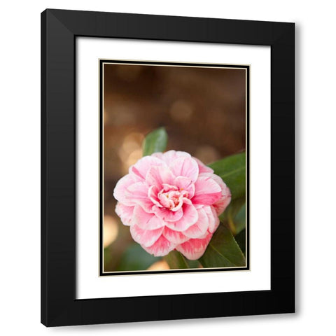 Bokeh Rose I Black Modern Wood Framed Art Print with Double Matting by Millet, Karyn