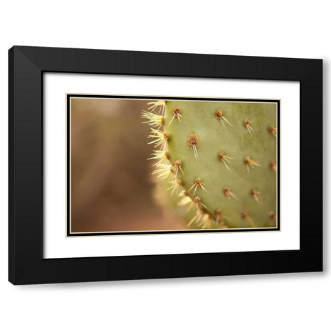 Cactus II Black Modern Wood Framed Art Print with Double Matting by Millet, Karyn