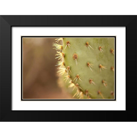Cactus II Black Modern Wood Framed Art Print with Double Matting by Millet, Karyn