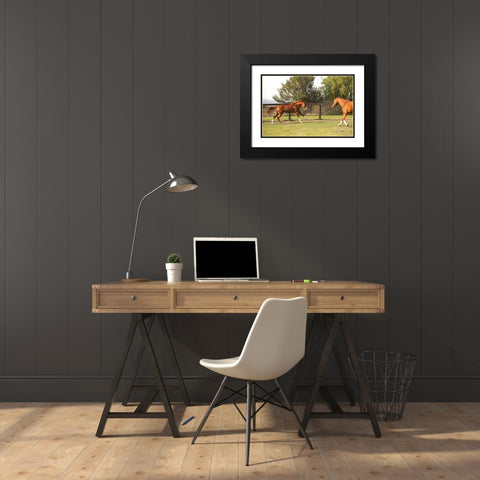 Horse Play II Black Modern Wood Framed Art Print with Double Matting by Millet, Karyn