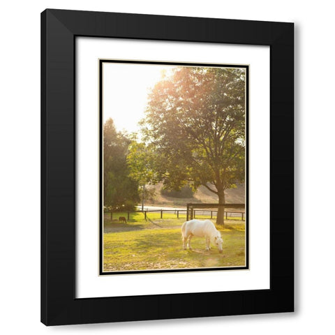 White Pony Black Modern Wood Framed Art Print with Double Matting by Millet, Karyn