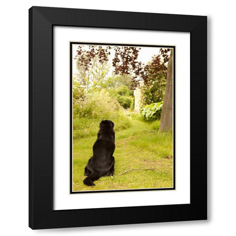 Watch Dog Black Modern Wood Framed Art Print with Double Matting by Millet, Karyn
