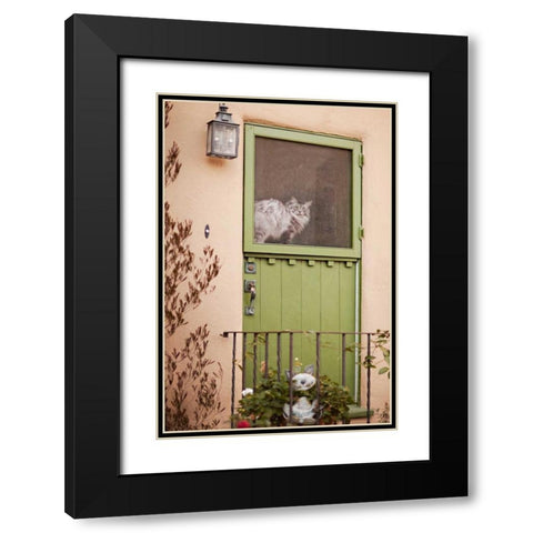 Kitty in the Window Black Modern Wood Framed Art Print with Double Matting by Millet, Karyn