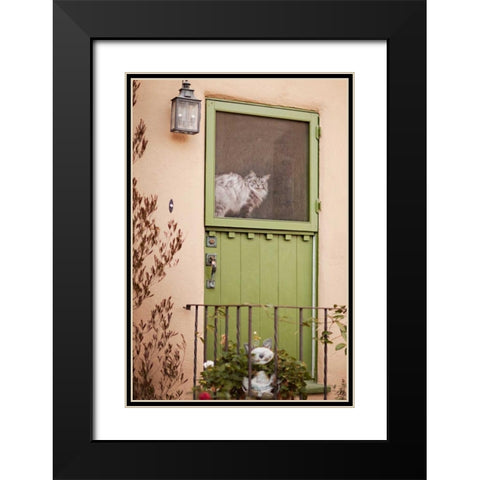 Kitty in the Window Black Modern Wood Framed Art Print with Double Matting by Millet, Karyn