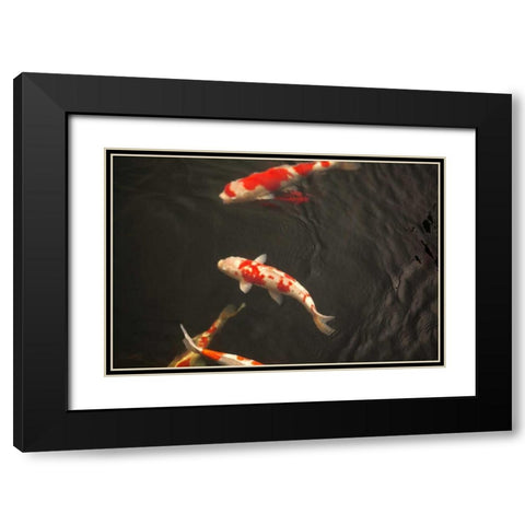 Koi IV Black Modern Wood Framed Art Print with Double Matting by Millet, Karyn