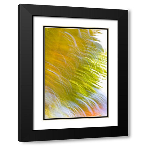 In Motion I Black Modern Wood Framed Art Print with Double Matting by Millet, Karyn