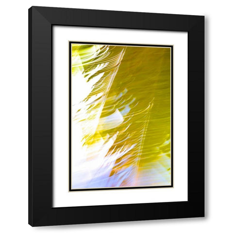 In Motion II Black Modern Wood Framed Art Print with Double Matting by Millet, Karyn