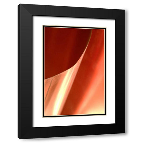 Copper Curves II Black Modern Wood Framed Art Print with Double Matting by Millet, Karyn