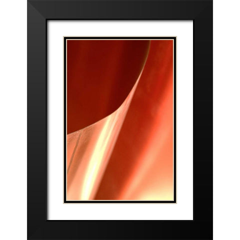 Copper Curves II Black Modern Wood Framed Art Print with Double Matting by Millet, Karyn