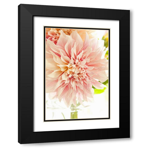 Pink Dahlia I Black Modern Wood Framed Art Print with Double Matting by Millet, Karyn