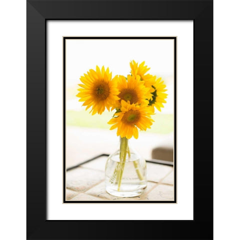Sunflowers in Small Vase Black Modern Wood Framed Art Print with Double Matting by Millet, Karyn