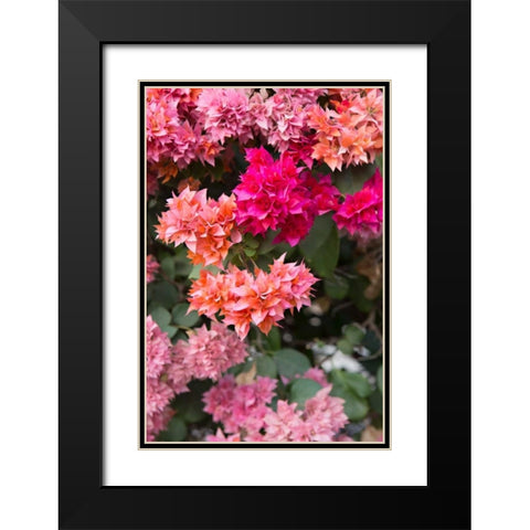 Pink Flowers I Black Modern Wood Framed Art Print with Double Matting by Millet, Karyn