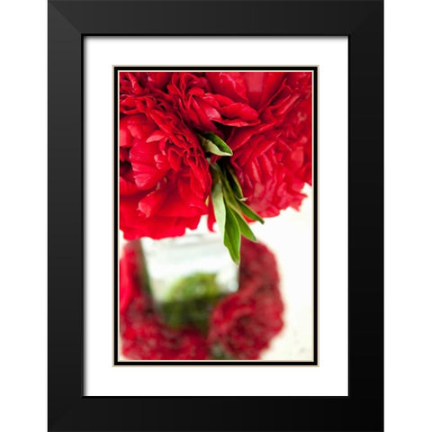 Ranunculus I Black Modern Wood Framed Art Print with Double Matting by Millet, Karyn