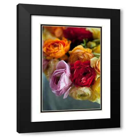 Ranunculus II Black Modern Wood Framed Art Print with Double Matting by Millet, Karyn