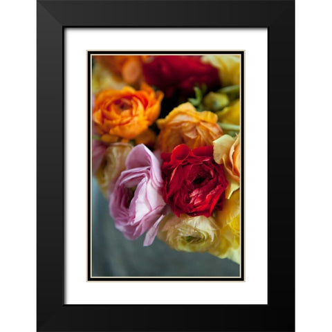 Ranunculus II Black Modern Wood Framed Art Print with Double Matting by Millet, Karyn