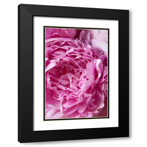 Peony Black Modern Wood Framed Art Print with Double Matting by Millet, Karyn