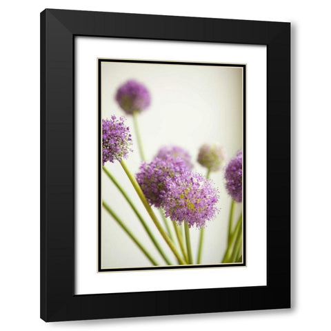 Blossoms II Black Modern Wood Framed Art Print with Double Matting by Millet, Karyn