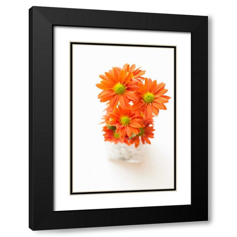 Spring Bouquet Black Modern Wood Framed Art Print with Double Matting by Millet, Karyn