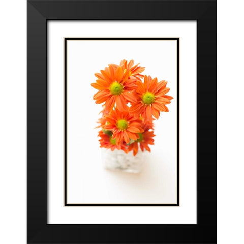 Spring Bouquet Black Modern Wood Framed Art Print with Double Matting by Millet, Karyn