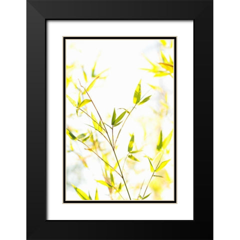 Bamboo I Black Modern Wood Framed Art Print with Double Matting by Millet, Karyn