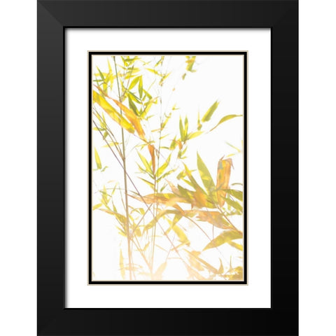 Bamboo I Black Modern Wood Framed Art Print with Double Matting by Millet, Karyn
