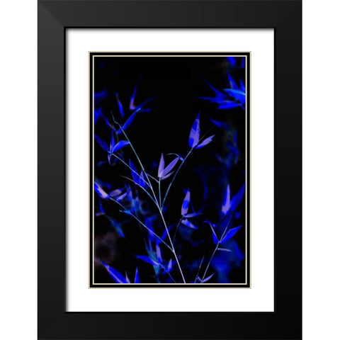 Bamboo at Night I Black Modern Wood Framed Art Print with Double Matting by Millet, Karyn