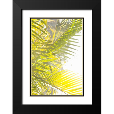 Palm Fonds Black Modern Wood Framed Art Print with Double Matting by Millet, Karyn