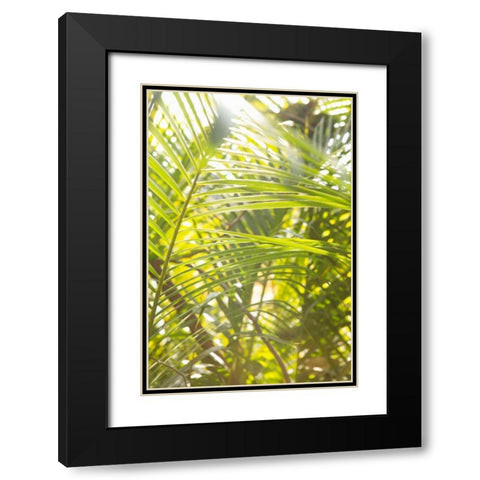 Palm Fonds II Black Modern Wood Framed Art Print with Double Matting by Millet, Karyn