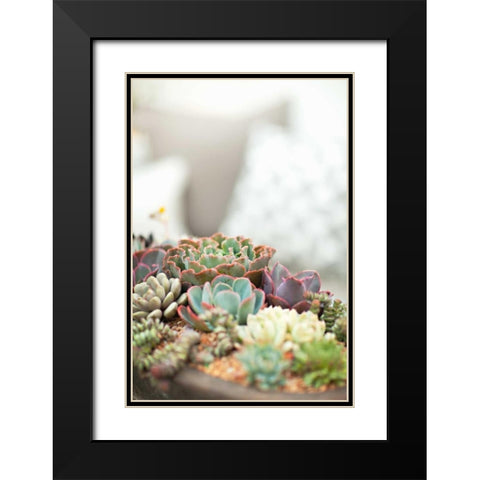 Succulents Black Modern Wood Framed Art Print with Double Matting by Millet, Karyn