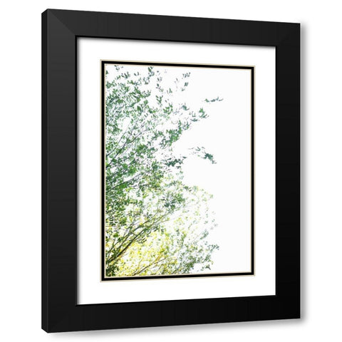 Trees I Black Modern Wood Framed Art Print with Double Matting by Millet, Karyn