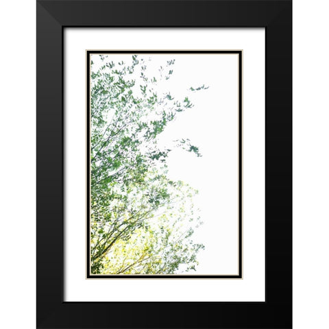 Trees I Black Modern Wood Framed Art Print with Double Matting by Millet, Karyn