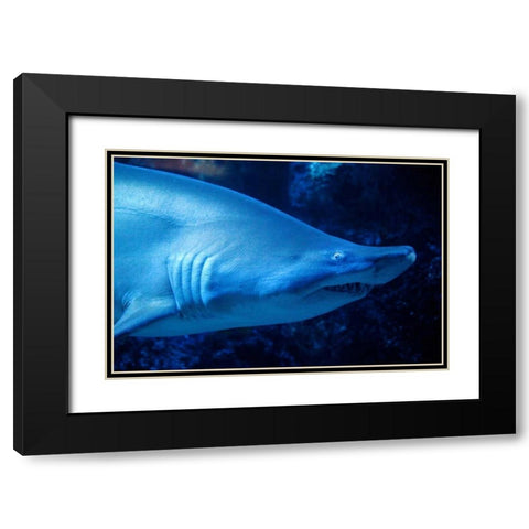 Shark Black Modern Wood Framed Art Print with Double Matting by Millet, Karyn