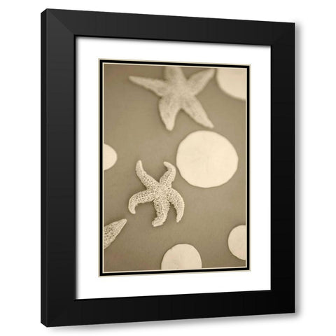 Starfish and Sand Dollars I Black Modern Wood Framed Art Print with Double Matting by Millet, Karyn