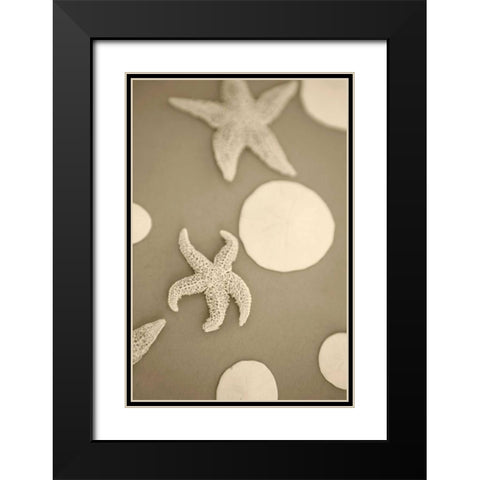 Starfish and Sand Dollars I Black Modern Wood Framed Art Print with Double Matting by Millet, Karyn