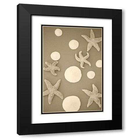 Starfish and Sand Dollars II Black Modern Wood Framed Art Print with Double Matting by Millet, Karyn