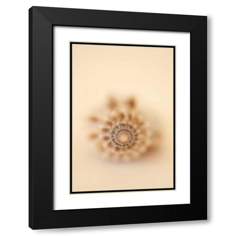 Sea Shells III Black Modern Wood Framed Art Print with Double Matting by Millet, Karyn
