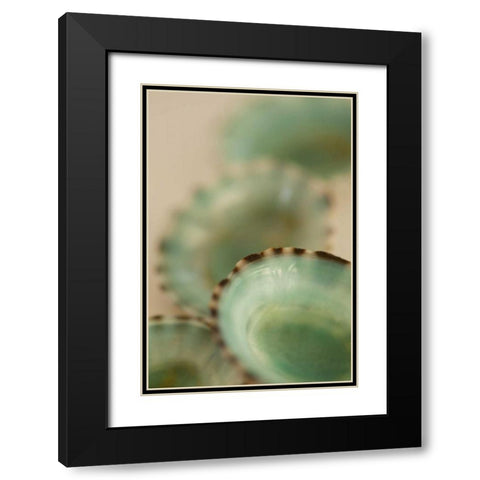 Sea Shells IV Black Modern Wood Framed Art Print with Double Matting by Millet, Karyn
