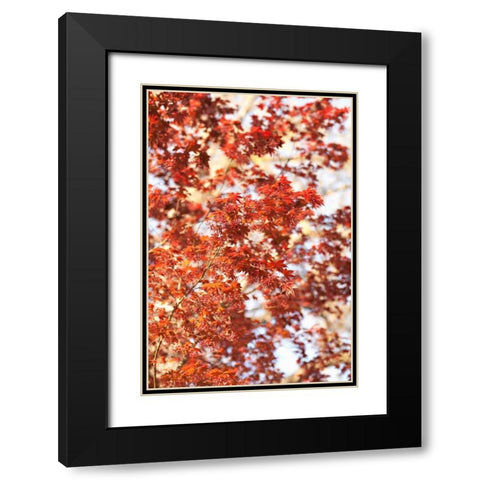 Fall Leaves Black Modern Wood Framed Art Print with Double Matting by Millet, Karyn