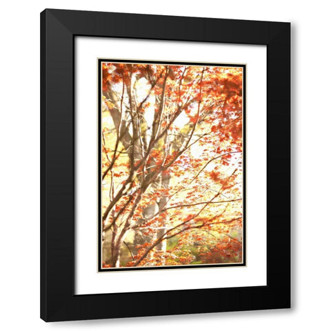 Autumn Leaves Black Modern Wood Framed Art Print with Double Matting by Millet, Karyn